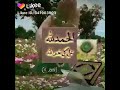 خدوني والله معاكم يازوار النبي 