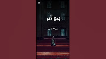 القرآن الكريم تلاوه خاشعه للشيخ عبد الباسط عبد الصمد #quran #holyquran #راحة_نفسية
