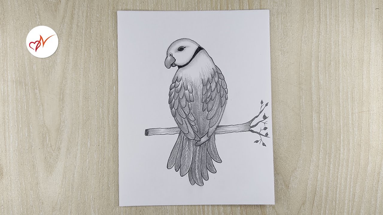 Parrot Drawing Minimal Exotic Bird Wall Art Print Poster, Framed or Canvas  | eBay