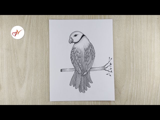 Tropical Parrot Bird Line Drawing Element, Bird Drawing, Wing Drawing, Parrot  Drawing PNG Transparent Clipart Image and PSD File for Free Download