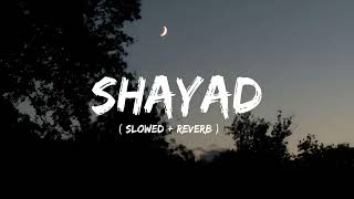 Shayad ( Slowed + Reverb ) | Love Aaj Kal | Arijit Singh | NX Lofi
