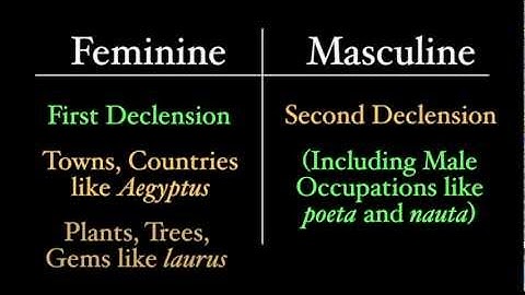 The Second Declension