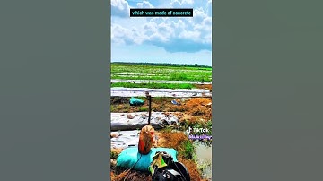 [2058] chủ cần bán nhanh lô đất nông nghiệp tại mộc hóa long an