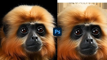 NEW WAY TO REMOVE BACKGROUND PHOTOSHOP  #shorts #photoshop