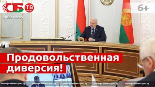 Лукашенко жестко отреагировал на факты неготовности к уборочной: что вскрыла проверка?