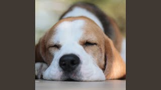 Peaceful Tail-Wags
