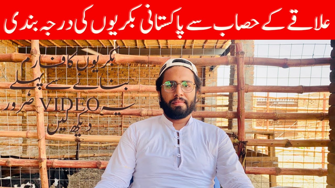 Top 15 Goat Breeds in Pakistan || پاکستان میں پائ جانے ولی 15 نسلوں کی ...