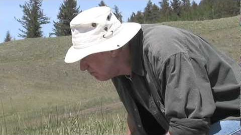 Eolian Parent Material