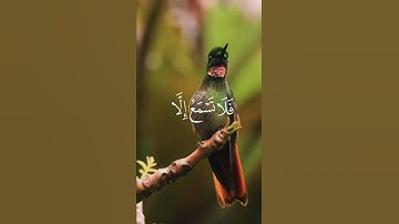 الراحة النفسية 💚🧡خالد الجليل تلاوة مؤثرة