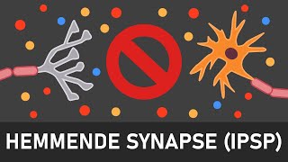 Hemmende Synapsen | Ablauf an inhibitorische Synapsen | IPSP
