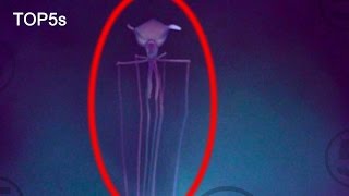 5 Extraordinary Sea Creatures That Will Blow Your Mind