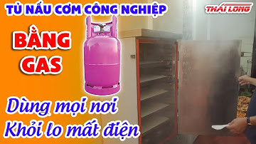 Tủ nấu cơm công nghiệp bằng gas Thái Long – Giải pháp thuận tiện và chuyên nghiệp  2022 | Thái Long
