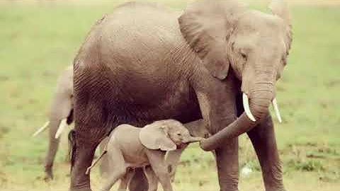 تلاوه رائعه ل سوره هود بصوت الشيخ سعود الشريم