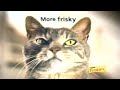 Retro Purina Friskies Cat Food Commercial 2003 More Frisky Retro Purina Friskies Cat Food Commercial 2003 More Frisky
