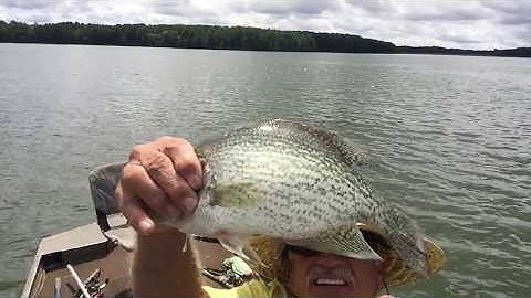 Summertime Crappie Fishing on Lake Monticello (Part 2 of 2 Videos)