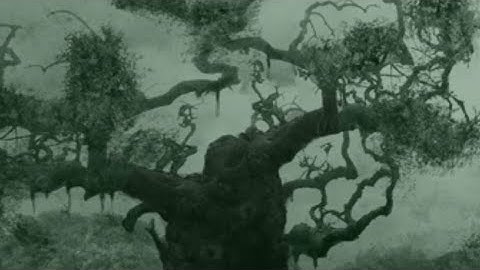 Poison Tree - Grouper | 1 Hour Loop