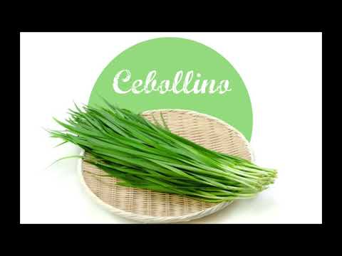 Hierbas aromáticas para cultivar en agua todo el año.