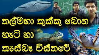 තල්මහා කුක්කු බොන හැටි හා කැස්බෑ විස්තරේ | Dinesh Muthugala | Episode 23