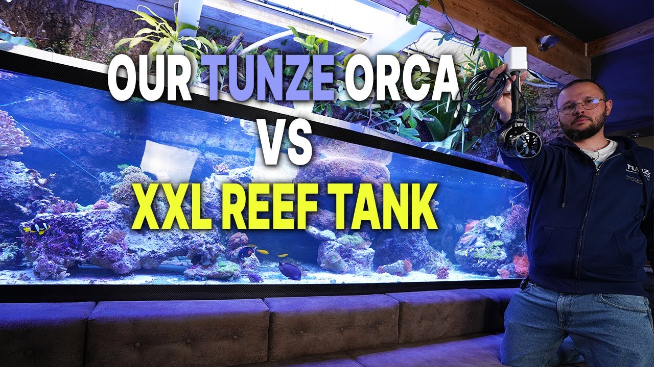 Amazing TANK with a NEW TUNZE PRODUCT - the ORCA!