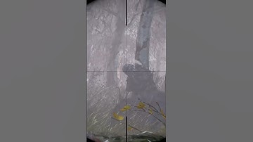 1v3 pt 2 #dayz #dayzgameplay #dayzpvp  #frostline #xbox #survivalgame