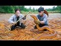 Harvesting Over 1000 Giant Devil Eels by Hand Fails - Mud Survival Challenge Gone Wrong