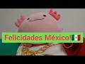 【Desde Japón】Mi ajolote está celebrando la victoria de México!🇲🇽【México vs Corea en el Mundial】