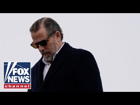 Biden under fire for 'ridiculous' claim about Hunter