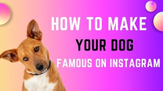 How to Make Your Dog Famous on Instagram by Animal Kingdom 45 views 8 months ago 5 minutes, 14 seconds