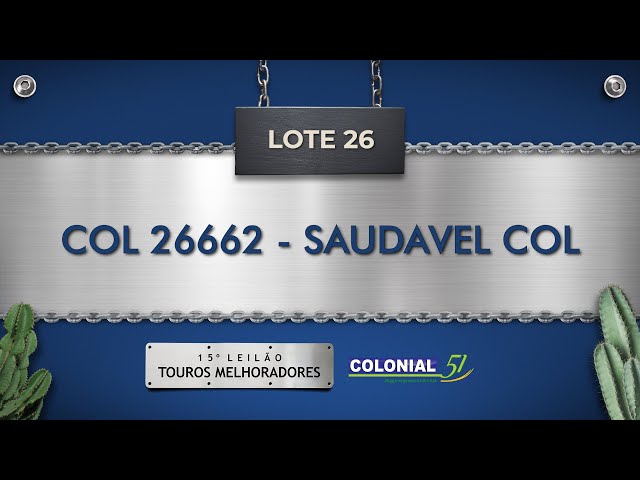 LOTE 26   COL 26662