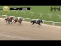 January 4, 2025  Race 7