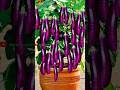 new techniques of planting and propagating eggplant trees from fruit.#growingvegetables