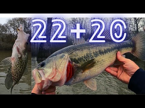 Bass fishing videos 