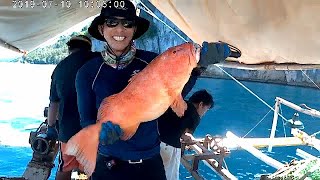 Grouper fish caught in a fish-trap (Bobo) in Masbate, Philippines