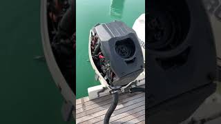 Flywheel Evinrude ETEC 175