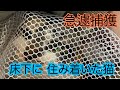 【保護猫】床下に住み着いた猫急遽捕獲