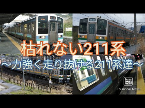 枯れない211系 ～力強く走り抜ける211系達～