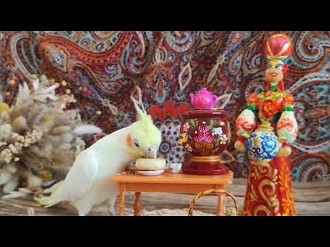 Пежня мас күйдегі орыс ауылының кешінде