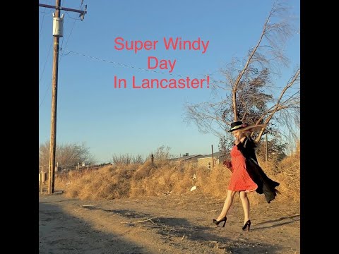 Super Windy day