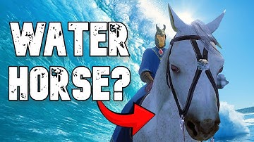 The Disastrous Fun of Oblivion