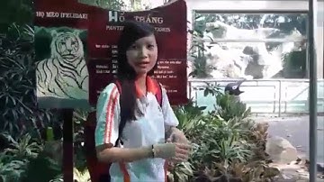 NH11301_Nhom3_ChameleonThaoCamVienSG