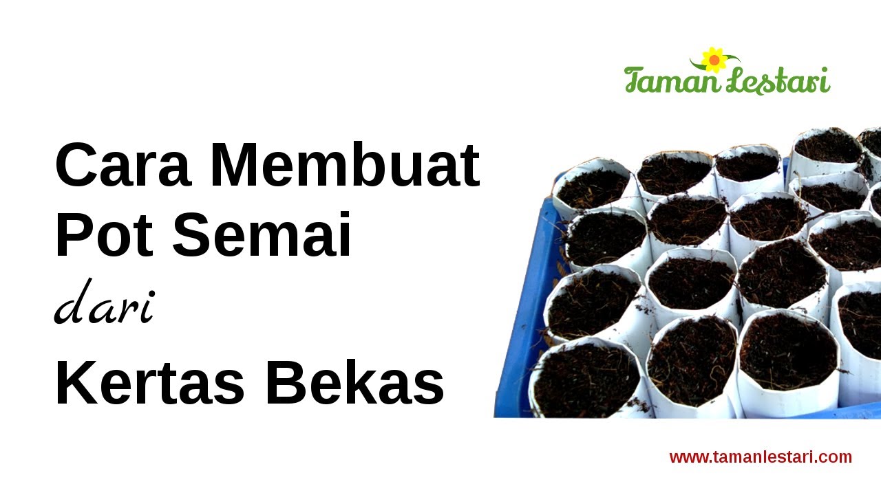 Cara Membuat Pot  Semai dari  Kertas  Bekas YouTube