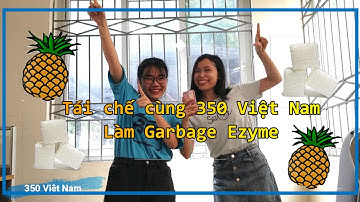 HƯỚNG DẪN LÀM NƯỚC RỬA BÁT, LAU NHÀ, TẮM VÀ GIẶT TỪ RÁC THẢI NHÀ BẾP (GARBAGE ENZYME)