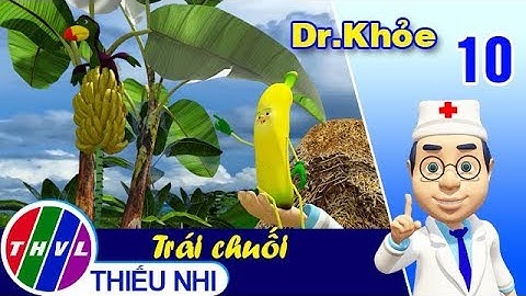 THVL | Dr. Khỏe – Tập 10: Trái chuối