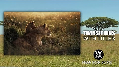 WM Transitions with Titles - Free animated templates for Final Cut Pro X