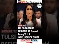 Reports About Tulsi Gabbard Spark Major Political Attention | PakCan News