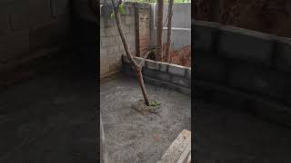 New Birds Aviary Setup works on going