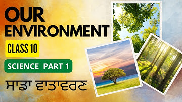 Our Environment in Punjabi | Class 10 | Science Chapter 15 | Part 1 Biology | Ecosystem.