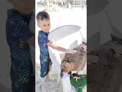 يوسف اول مشاف الصقر هرب  هتضحك    كوميديات اكسبلور 