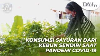 Konsumsi Sayuran dari Kebun Sendiri Saat Pandemi Covid-19 | Bumiku Satu