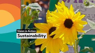 Vision in Action Spotlight: Sustainability in LBUSD